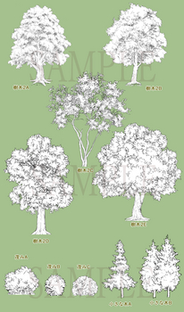 s-tree2.jpg